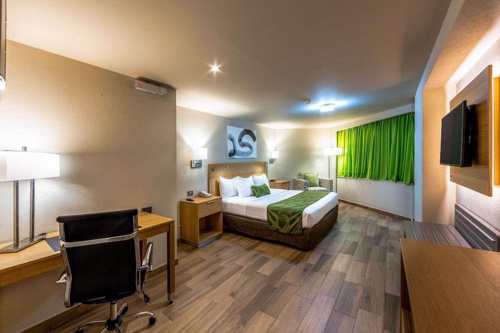 퀄리티 인 파추카 호텔 Pachuca 외부 사진 A typical hotel room